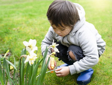 新鲜的杰米农业男孩子在花朵上喷洒瓶装水儿童园艺概念男孩子玩园艺活跃儿童在花园的活动男孩儿在树叶上喷洒雾儿童园艺概念图片