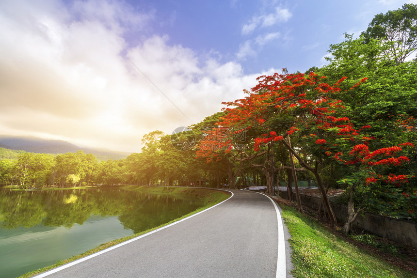 AngKaew清迈大学AngKaew清迈皇家Poinciana山地蓝天背景白云山林自然之路山林自然之路花的季节橙图片