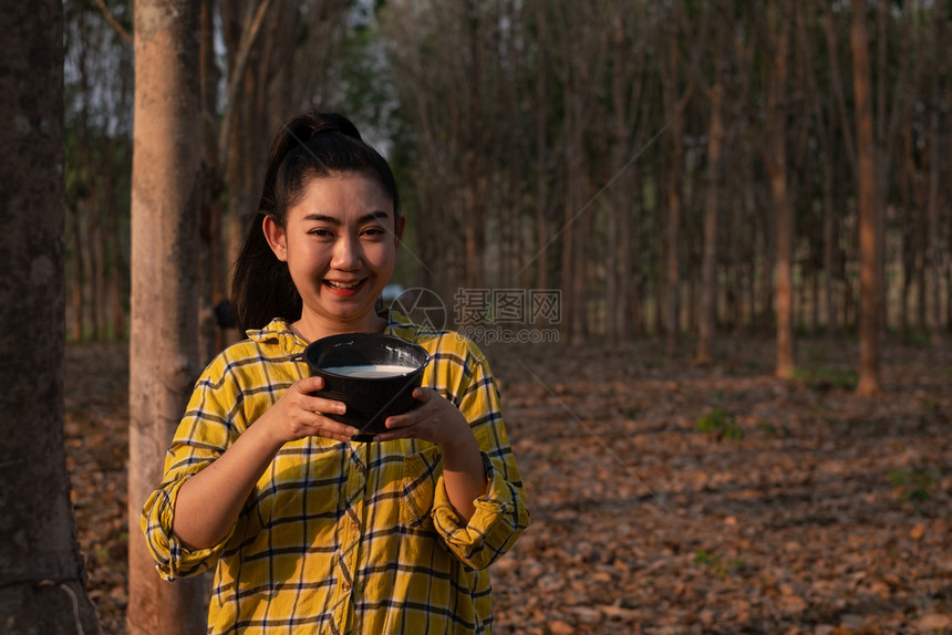 生产率橡胶树快乐年轻的肖像园艺女青年在泰国种植园橡胶采掘形式中手握一整杯树的原橡胶奶粉好的农产品Heveabrasiliense图片