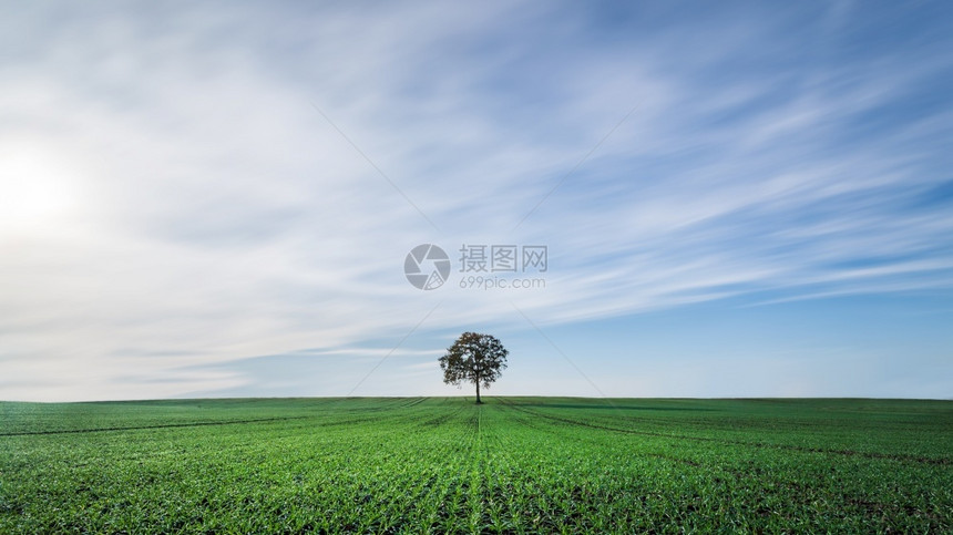 萨克森树旅行德国北部多云天空下的绿地美景德国北部多云天空下的绿地美景图片