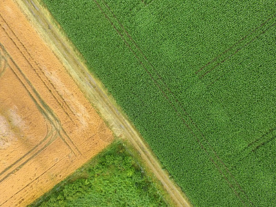 路植物由无人驾驶飞机制作的田地和杂草与绿色黄地区矩形三角的空中照片摘要土地背景图片