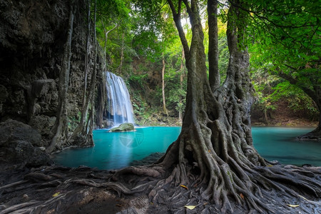 河绿色泰公园Kanchanaburi泰国深热带雨林的Erawan级联瀑布下流的绿水深背景图片