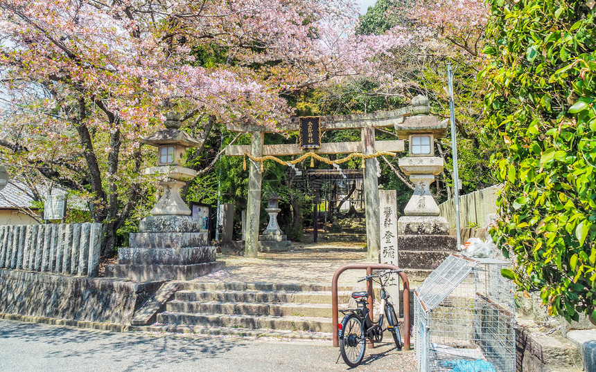 禅JAPANNARAAPRAIL16207年4月6日在托米圣堂入口的纳拉县Tomi神迹托里门上的樱桃花宗教神道图片
