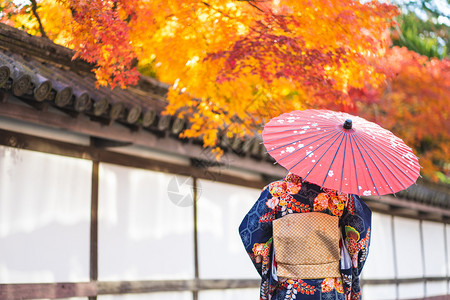 女荷官女旅游大社在京都FushimiInari神社红木托里门中身着日本和服的吉沙斯女孩穿日本和服同义词这实际上意味着一件要穿的东西背景