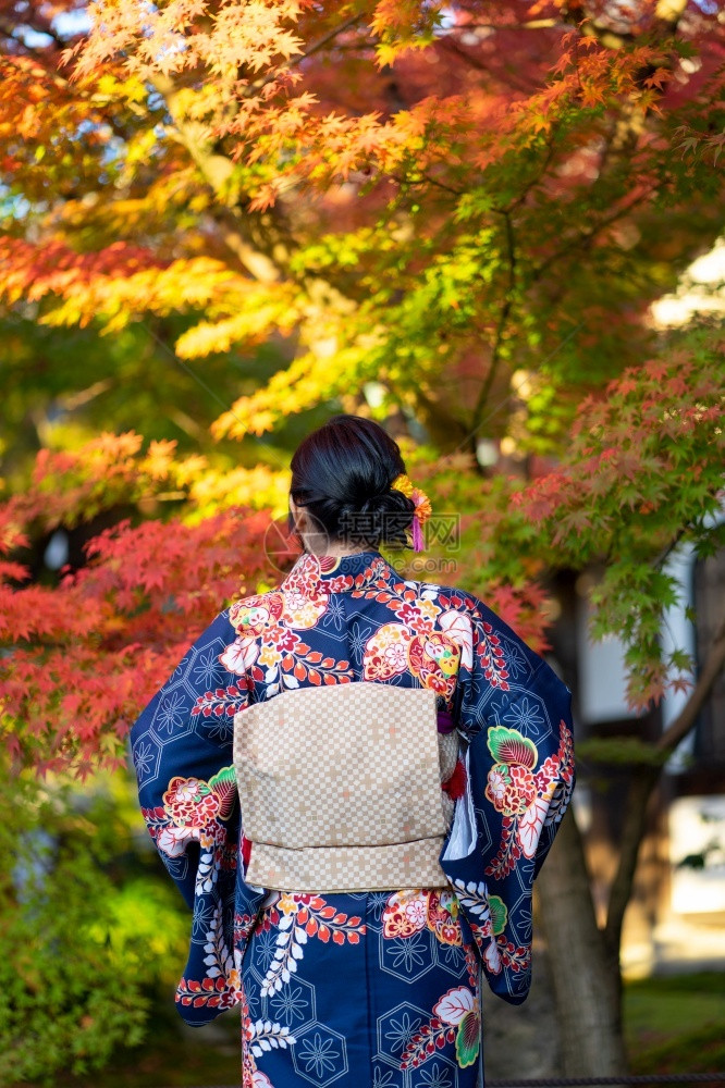 淑女在京都FushimiInari神社红木托里门中身着日本和服的吉沙斯女孩穿日本和服同义词这实际上意味着一件要穿的东西鸟居日本人图片