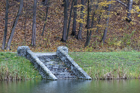 人行道树叶明亮的水光滑面到达森林池岸边石块落下古老的子旧台阶图片