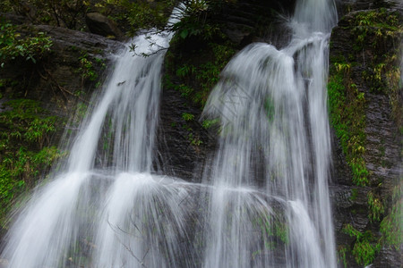 颜色湿度的自然瀑布从悬崖流下长的一条线从悬崖流到微小的山谷图片