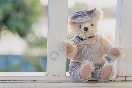 坐在公园院子的泰迪熊与白花和绿草一同坐落在公园院子上秋天毛皮坐着图片