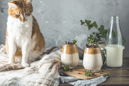 猫和冰淇凌白色的可爱红小猫和两杯IcedDalgona咖啡在深黑木质表面Trendkolean喝拿铁咖啡玻璃家背景