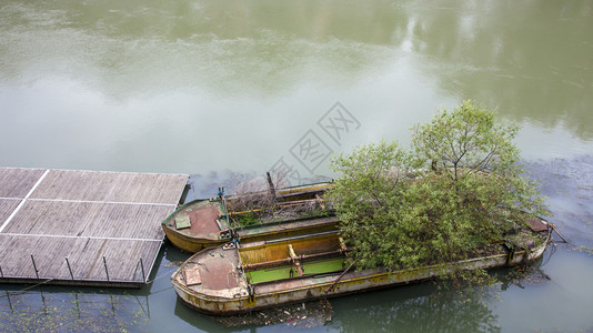船运罗马在意大利提伯尔河上拆卸的驳船树木已经在那里生长旅行货物图片