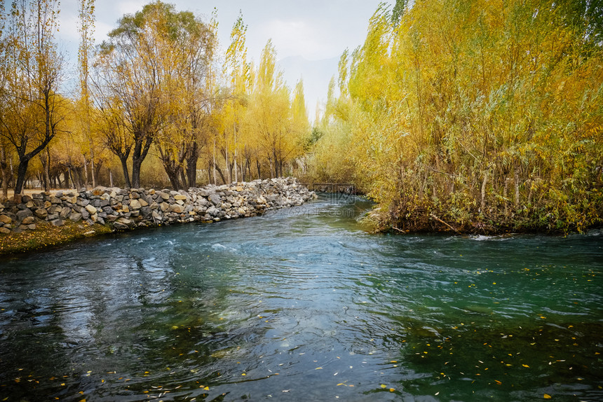 轻地安静的落下巴基斯坦SkarduGilgitBaltistan的景观宁静风秋季通过多彩的叶子林温柔流淌图片