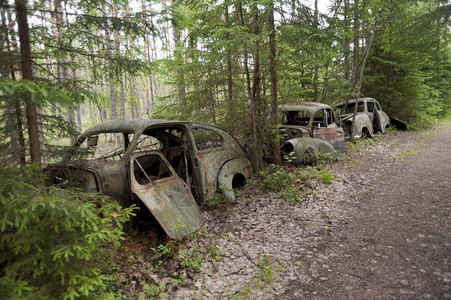 树木瑞典KirkoeMosse的汽车垃圾场棚作坊图片