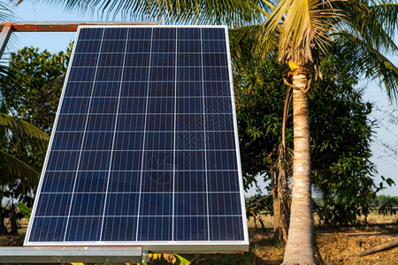 农村住宅区业用太阳能电池板农田蓝天背景泰庭农村风格业产智能场替代清洁绿色能源概念行业可持续的全球背景图片