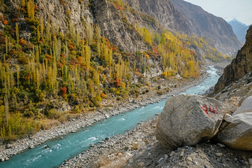 秋天喀喇昆仑卡拉科姆公路沿线的卡拉科姆山脉和秋季多彩的叶子树上流经卡拉科姆山脉的绿水河巴基斯坦洪扎谷吉尔特俾提斯坦绿松石图片