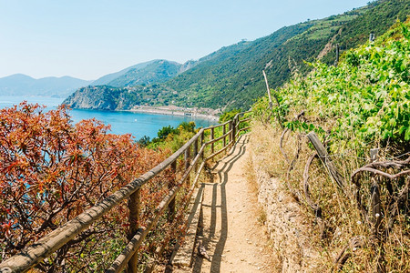 村庄蔚蓝步道是五渔村中最简单著名访问量大的步道岩石意利语图片