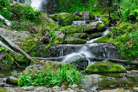 迅速的高地当前夏季日风雨林森中的溪流山崩瀑布在岩和青绿的山区河流之间自然景观森林中红厚的茂密地带有连串的山溪背景图片