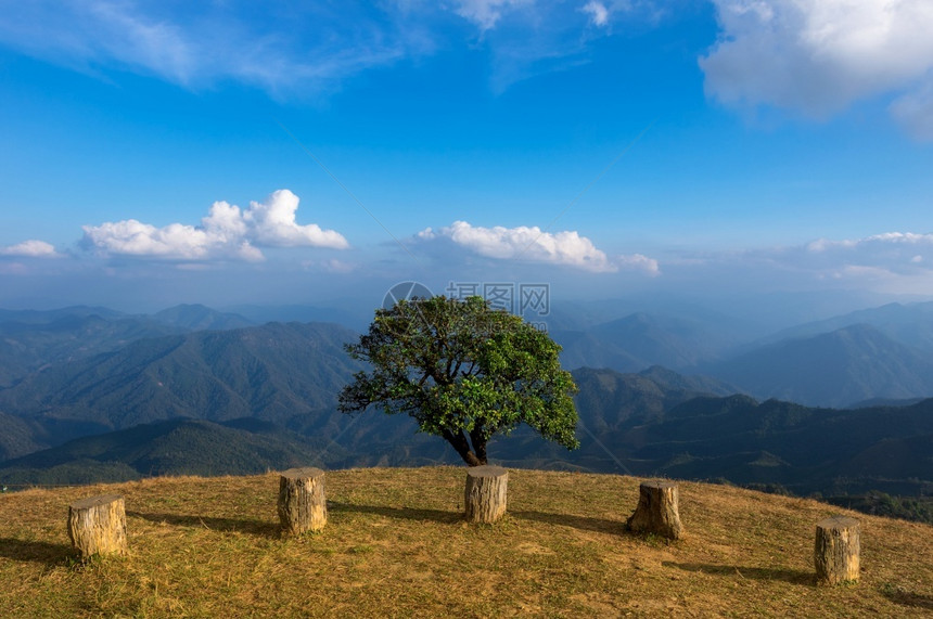 孤独夏天晚上高山景色优美的风边上有孤单的树林前方从头看望着泰国多湖地貌广受欢迎的MeeHongSon旅游景点的DoiPuuCu山图片