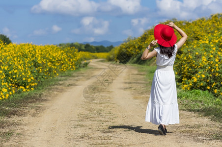 莫负春光一位身着白裙子戴红帽的美丽女在一条农村公路上春光时戴着红帽墨西哥向日葵田MeeMohCoalMine花墨西哥人玫瑰背景