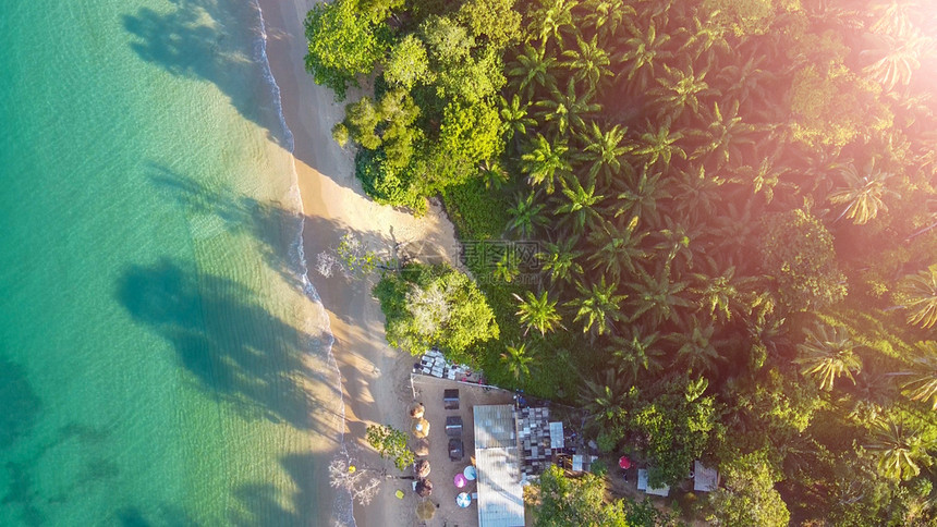 镇自然男人树木和热带海滩空中观察图片