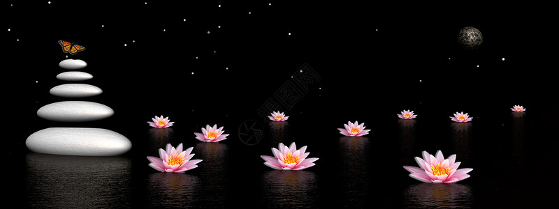 莲花与水素材夜晚与月亮和恒星Zen之夜在水中美丽的粉红百合花旁灰色平衡石块上飘扬着彩色蝴蝶冯安宁温泉设计图片
