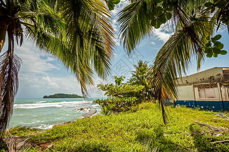 柠檬加勒比海哥斯达黎加里蒙港利海岸图片