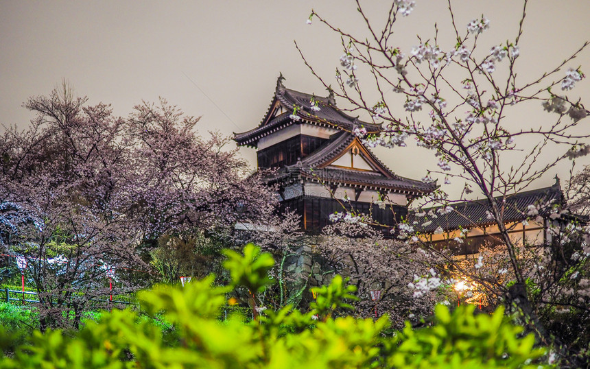 场景樱桃在纳拉有花的Koriyama城堡细节图片