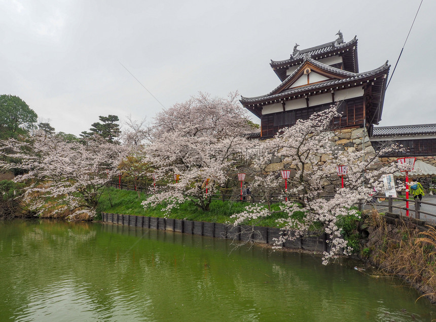 在纳拉有樱花的Koriyama城堡花见场景旅行图片