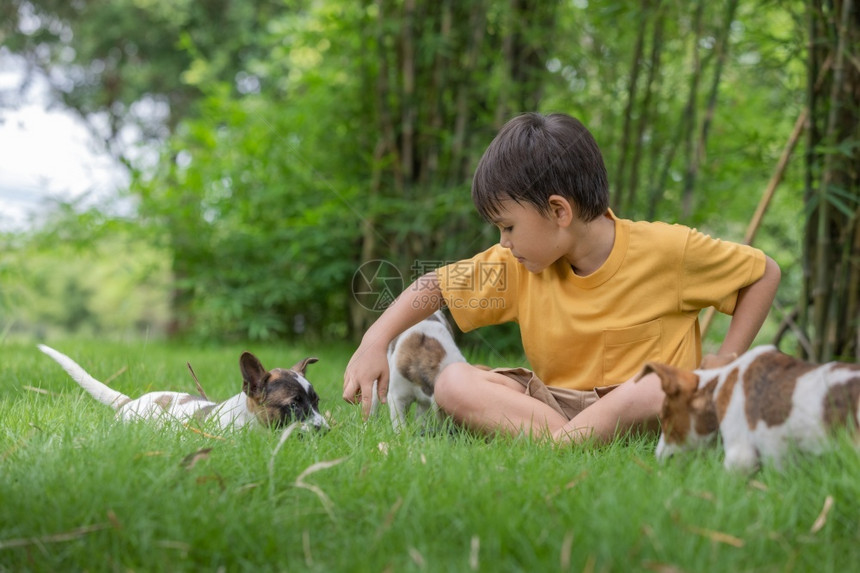 草地上和狗狗玩耍的小男孩图片