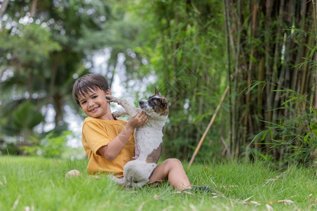 在草地上和小狗玩耍的小男孩图片