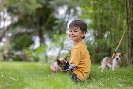 草地上和小狗玩耍的小男孩图片