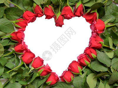 红玫瑰的心有干叶和绿礼物庆典子图片