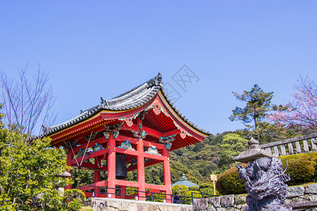 旅游清代寺庙内美丽的钟楼在樱花开期间的京都有标志佛教寺庙日本即将开花佛教徒漂亮的背景图片