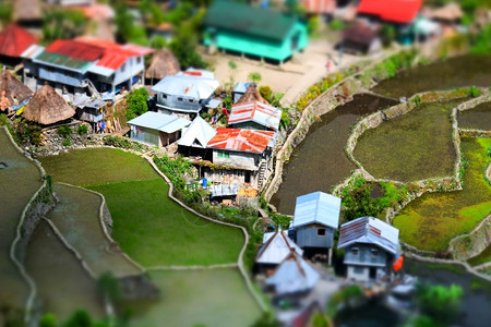 菲律宾的水稻梯田和村庄房屋模型图片