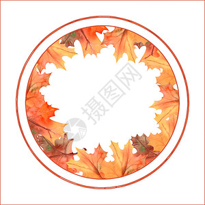 艺术水彩秋叶圆形边框背景图片