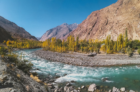 皮库斯贝印度教鹅卵石自由吉特河穿过古皮斯在巴基坦吉尔特Baltistan的Ghizer秋天看到兴都库什山脉和树木背景