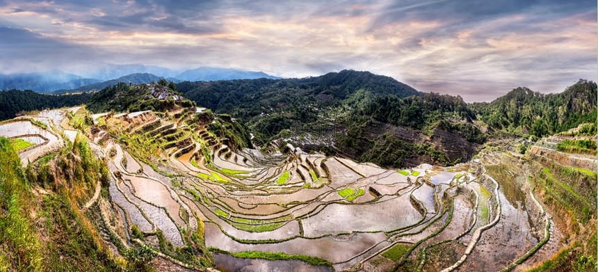 生长白饭伊富高令人惊叹的全景观菲律宾教科文组织遗产巴瑙埃Banaue下伊富果省山区水稻梯田图片