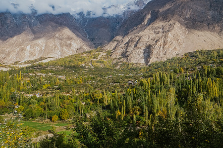 卡里马巴德宁静天线巴基斯坦GilgitBaltistan背景的卡拉科姆山脉上充满云雾和雪盖山的绿林景色一片美丽的绿色森林景象生态背景