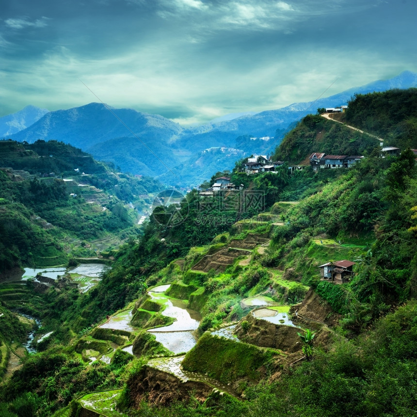 天空对菲律宾伊富果省山脉中云雾蓝天Banaue的稻田梯惊人全景观菲律宾教科文组织遗产高地传统的图片