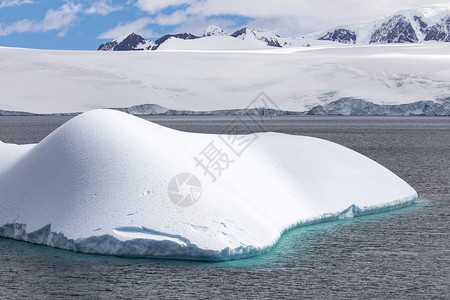 水偏绿南极洲有冰川在山前闪耀着松动的绿宝石冰山松背景图片
