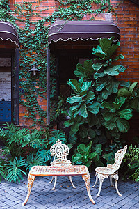 美丽金属颜色花园中的旧家具背景图片