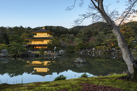 观光艺术池塘日本京都金殿寺的津阁吉目光闪烁图片