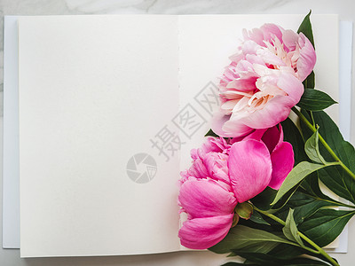 海报牡丹浪漫的女明亮花朵和写字地方关闭没有人纹理祝贺家人亲戚朋友和同事鲜花和刻字的地方花束背景