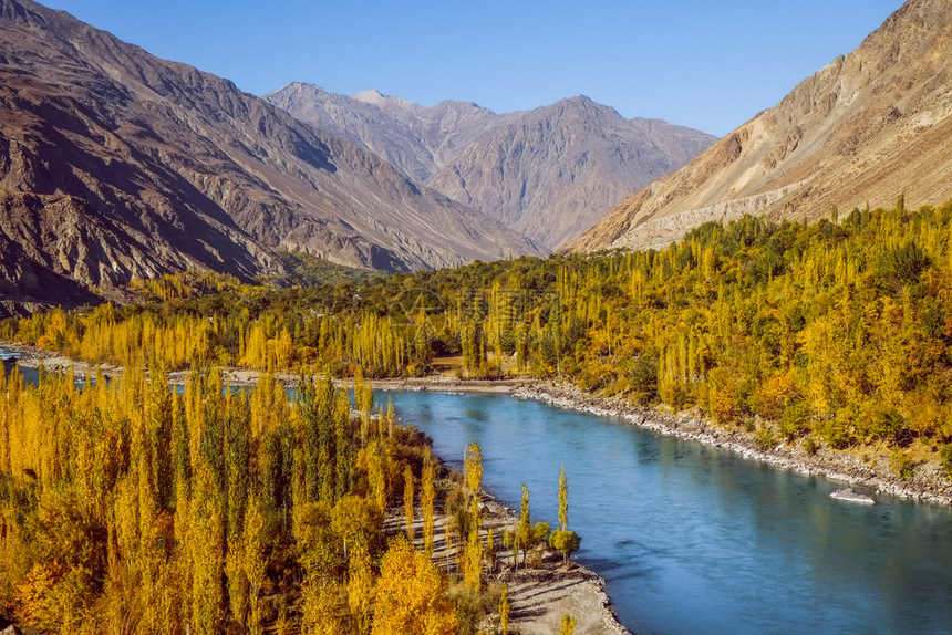 Gahkuch在秋天展示河流经多彩森林周围环绕着巴基斯坦吉尔特俾提斯坦Ghizer山谷的兴都库什脉溪流假期新鲜的图片