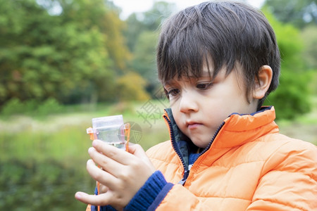 幼童在池塘捕捉生物小男孩在看虫盒中的插孔儿童探险者有选择的焦点了解农村野生自然秋季儿童户外活动快乐的绿色网背景图片