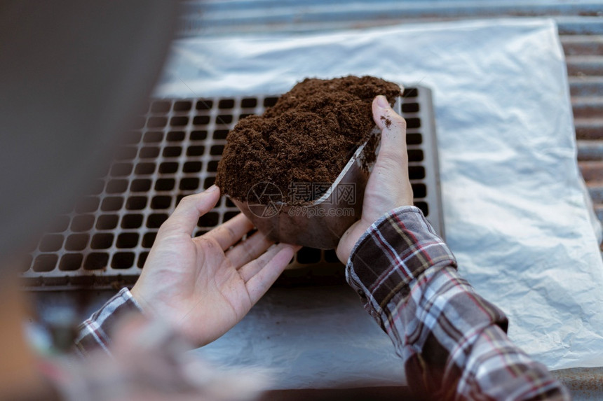 园艺概念员的两只手将富饶黑土插入育苗托盘准备种植幼苗国内的户外生活图片