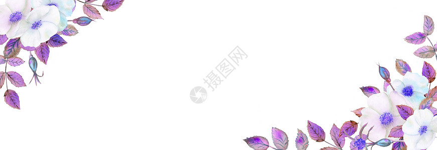 叶子白色玫瑰果花几何框架中的插花卉海报紫色调的邀请函用于装饰贺卡或请柬的水彩作品白色玫瑰果花紫调的邀请函用于装饰的水彩作品贺卡或背景图片