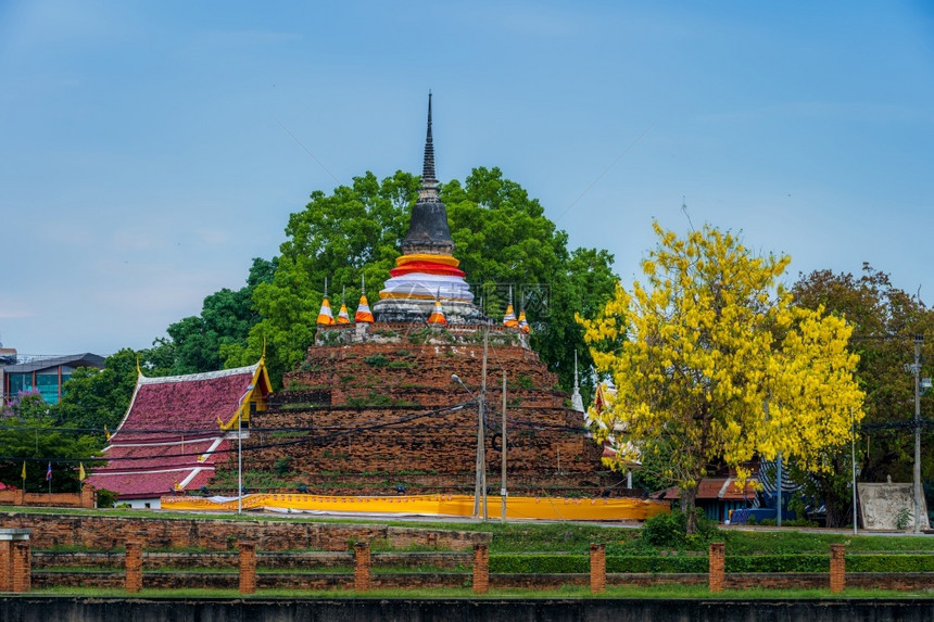 城市宗教Ratchaburanna寺庙PhraChediLuang公园的卡西亚阴道是一座佛教寺庙它是主要旅游景点Songkran图片