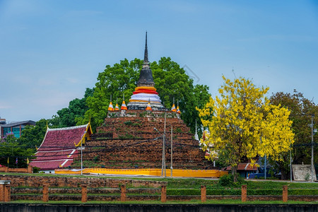 阴道菌群失调城市宗教Ratchaburanna寺庙PhraChediLuang公园的卡西亚阴道是一座佛教寺庙它是主要旅游景点Songkran背景