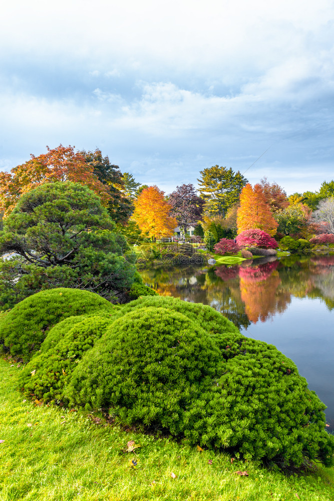 缅因州阿卡迪亚公园的树木颜色在林季节看到哈洛克池塘的全景观美化衬套户外图片