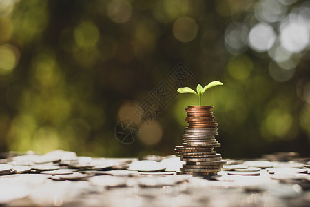 电银行业幼苗生长在硬币上想着金融增长财政象征图片